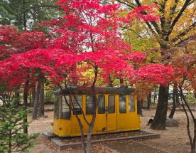 Южная Корея от Сеула до Чеджу. Семь чудес осени