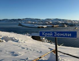 Териберка и киты за 1 день