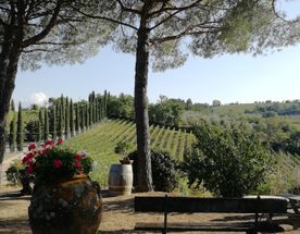 Вино Кьянти: погружение в сердце Тосканы