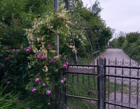 Коммуна русских идеалистов и мистика Абхазии!