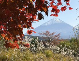 Фудзияма. Восхождение