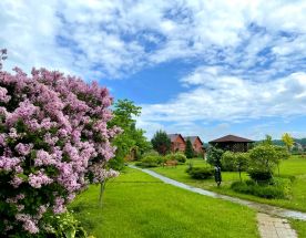 Ретрит, йога - тур Внутренняя опора с ипповенцией