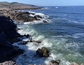 На встречу с Арктикой