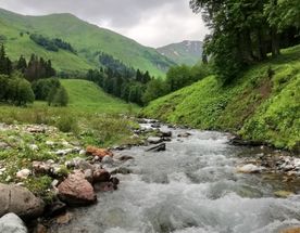 Май в Абхазии-3 дня