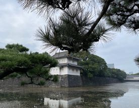 Большой Токио за 5 дней: от древнего Эдо до современного мегаполиса