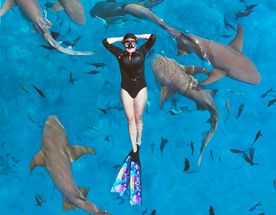 4 острова+ обучение фридайвингу!