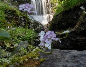 Плато Путорана  край водопадов: легкий трекинг, рыбалка и баня