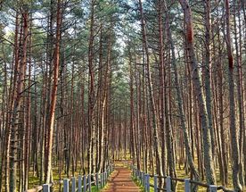 Вся Восточная Пруссия за 4 уникальных дня