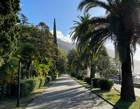 Золотая Абхазия в мини группе