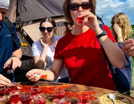 Всё и сразу о. Сахалин - Стандартный