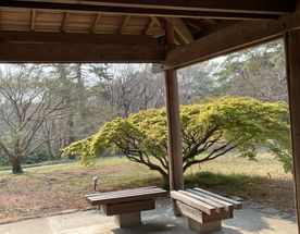 Парк Мусаси Кюрё и японские ёкаи - духи леса