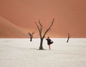 Водопад Виктория и Намибия