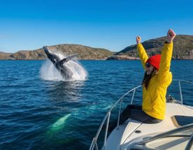 Премиум Кольский до 6 чел. Киты, Териберка, Хибины, Сейдозеро, Джипы, Квадрациклы