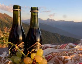 Без галстука — лагерь для взрослых в Сочи