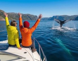 Премиум Териберка до 6 чел. Киты, Отель на берегу, Деликатесы, Сафари на квадрациклах