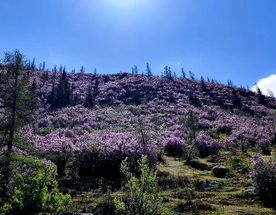 Чуйский тракт. Горный Алтай