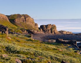 2 дня на полуостровах Средний и Рыбачий