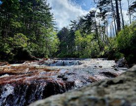 Три острова: Сахалин, Итуруп, Кунашир