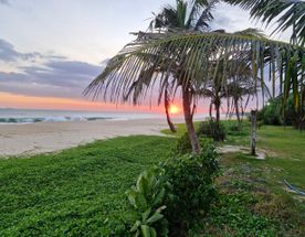 Шри-Ланка - самые топовые локации. Джип-Сафари и отдых на океане