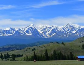 По следам алтая