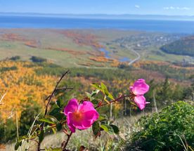 Йога-Тур на Байкале