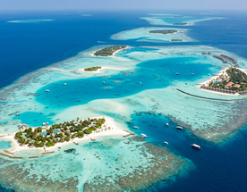 Мальдивы: Экспедиция к акулам и мантам на яхте