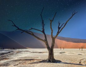 Намибия. Красные дюны, океан и сафари