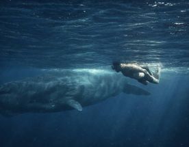 Маврикий - Райский Остров