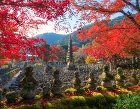 Япония в сезон красных кленов. Без спешки и суеты.