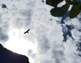 Джипинг по Салаирскому кряжу