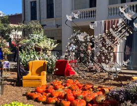 Тбилисоба  пьянящее грузинское счастье  день города Тбилиси