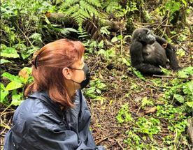 Тур в Уганду: Треккинг к горным гориллам