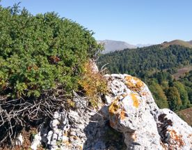 Хочу и Буду! - уникальный ретрит в горах у моря