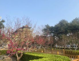 Китай,все включено!  На 10 дней! 5 городов