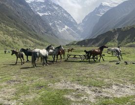 Контраст Кавказа за 4 дня - Северная Осетия и Чечня