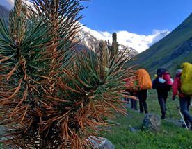 Восхождение на Казбек с Севера + Эльбрус с Юга