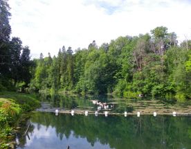 Памятники природы Ингерманландии. Автобусно-пешеходная экскурсия