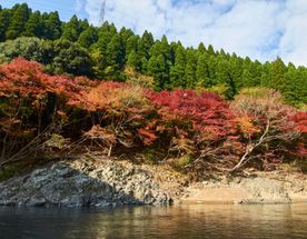 Япония: сезон красных клёнов