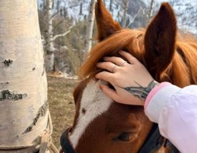 Горы Алматы: высота, ледники и свобода