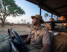 Водопад Виктория,  Замбия. Сафари В Ботсване