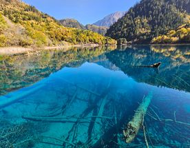 Золотая Сычуань-2026. Тур по красивейшей провинции Китая