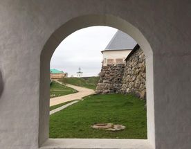 Чудеса Соловецкой природы