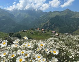 Нетронутая красота горной Дигории