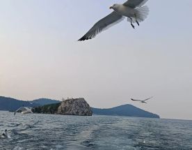 Тур на один день Сказка Чивыркуйского залива