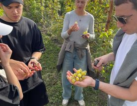 Винные выходные в Рязани - винодельня, термы, еда и мастер-классы