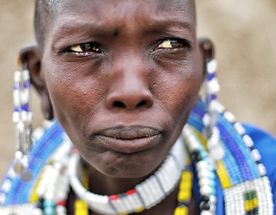 Expedition with biologist to the Great Migration in Serengeti