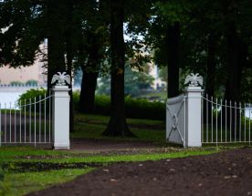 День Святого Мартина и другие приключения итальянцев в Петербурге