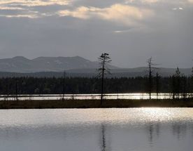 САП-тур «На озеро без имени - к хозяйке дома у воды»