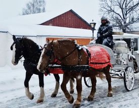 Жаркий Новый год в сказочной Рязани