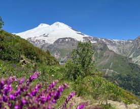 Кавказская рулетка